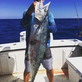 a man holding a fish on a boat in a body of water